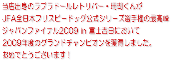 当店出身のラブラドールレトリバー・珊瑚くんがJFA全日本フリスビードッグ公式シリーズ選手権の最高峰・ジャパンファイナル2009 in 富士吉田において2009年度のグランドチャンピオンを獲得しました。おめでとうございます！